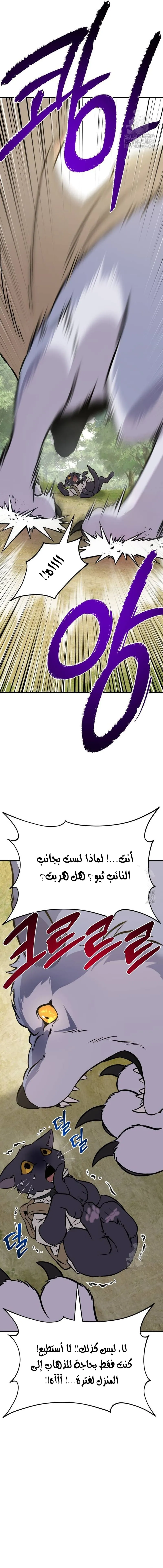الصفحة 31