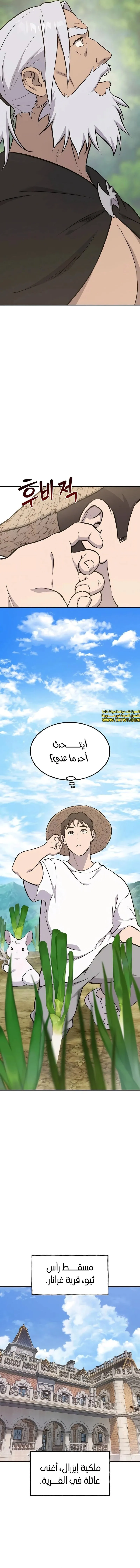 الصفحة 19