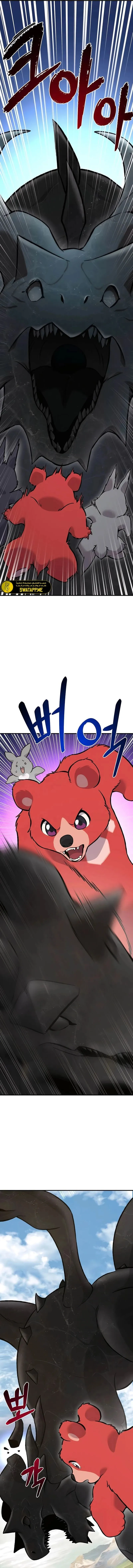 الصفحة 17