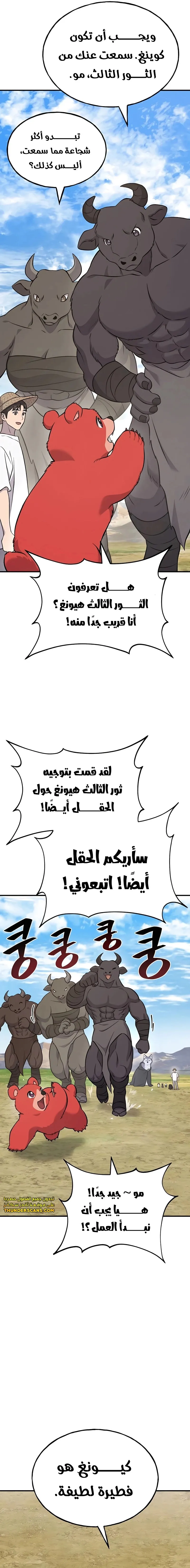 الصفحة 13