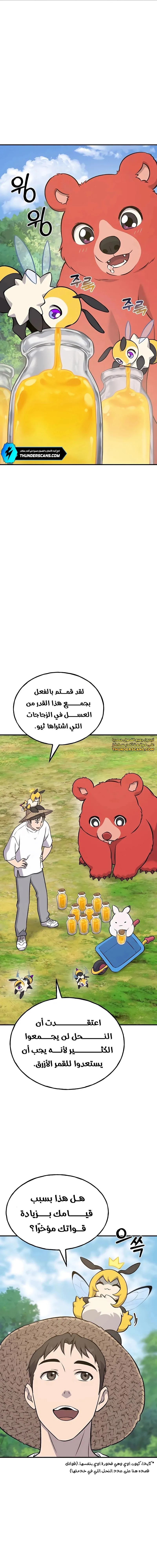الصفحة 17