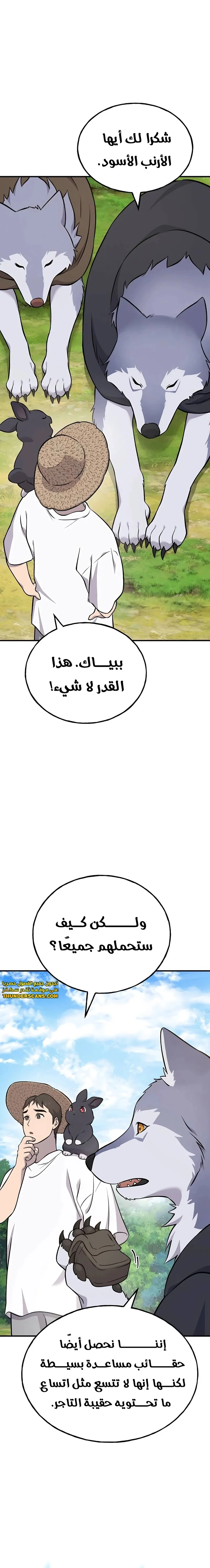 الصفحة 20
