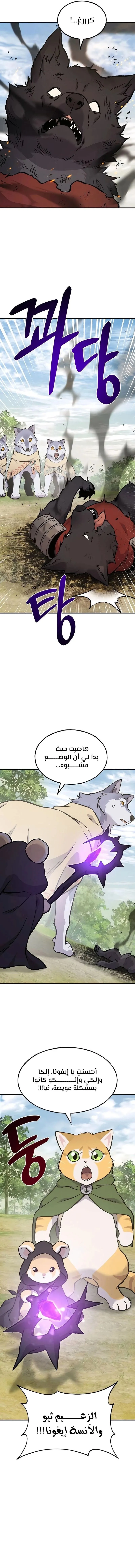 الصفحة 5