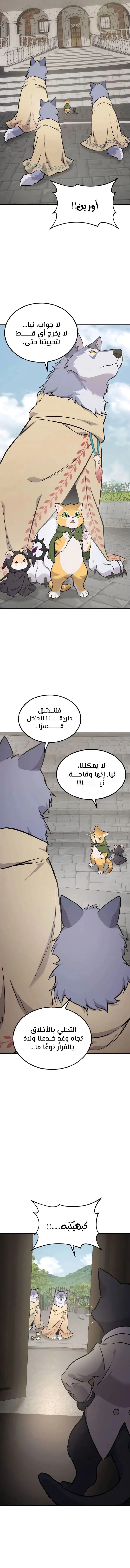 الصفحة 14