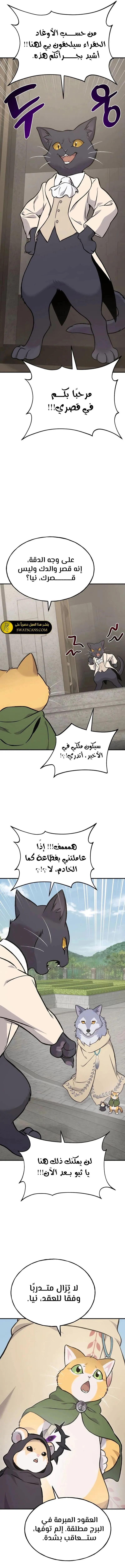 الصفحة 15