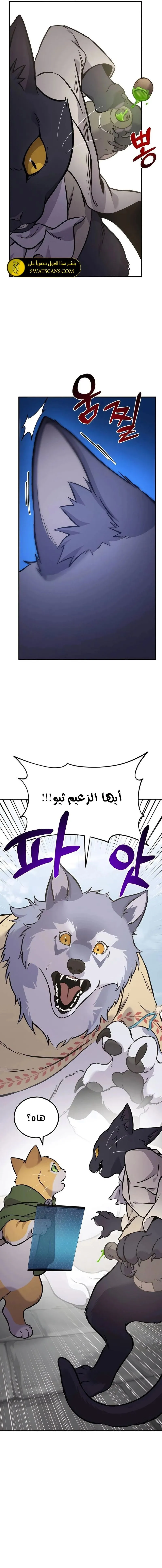 الصفحة 17