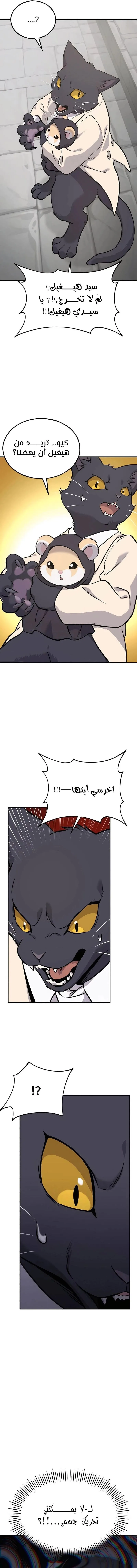 الصفحة 24