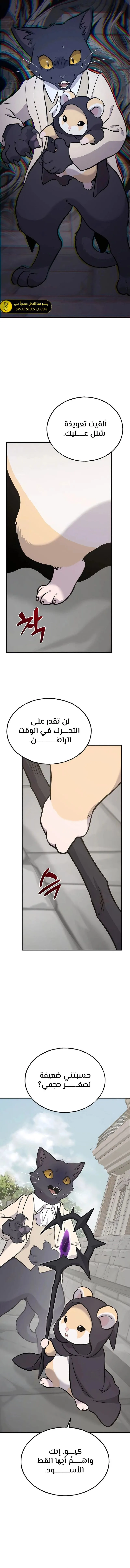 الصفحة 25