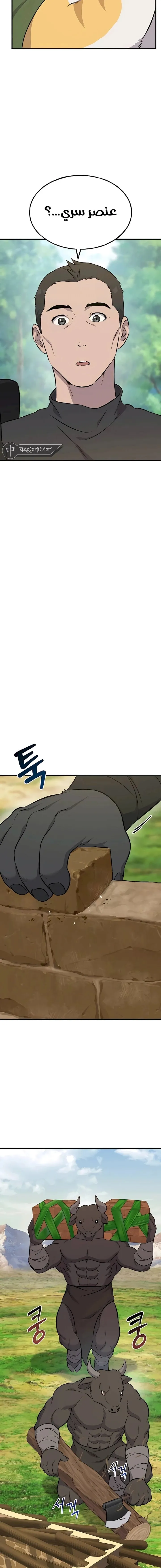 الصفحة 17
