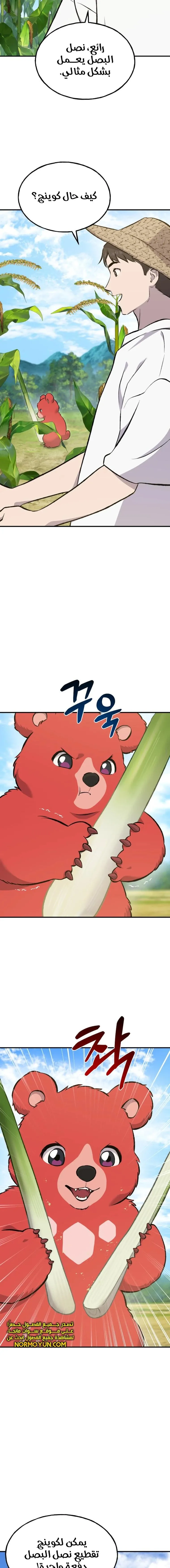 الصفحة 12