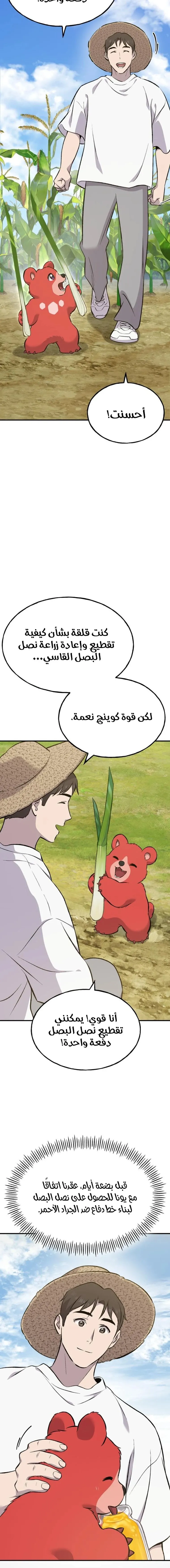 الصفحة 13
