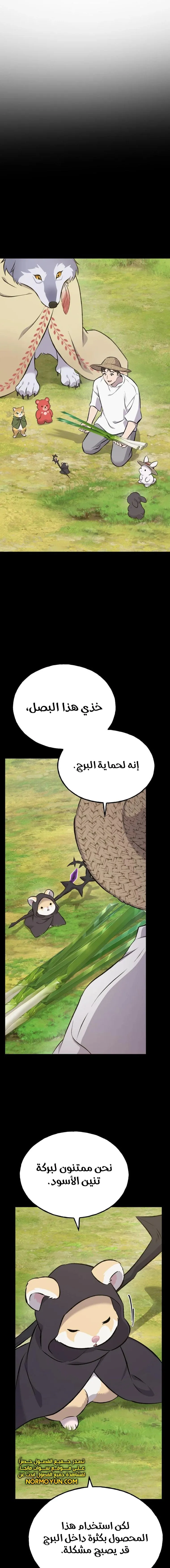 الصفحة 14