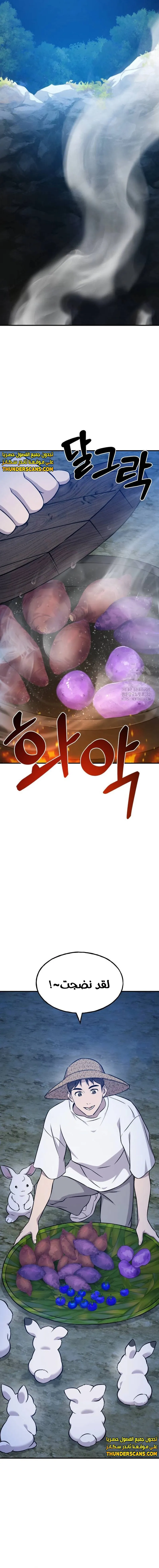 الصفحة 19