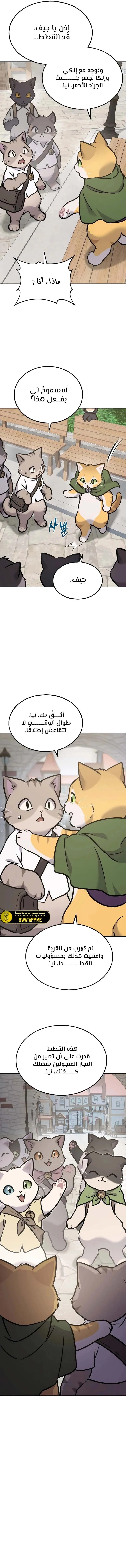 الصفحة 17