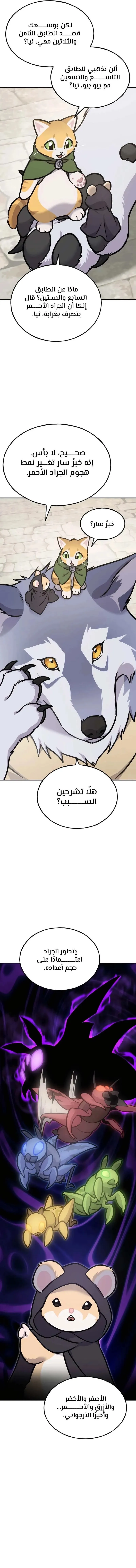 الصفحة 20