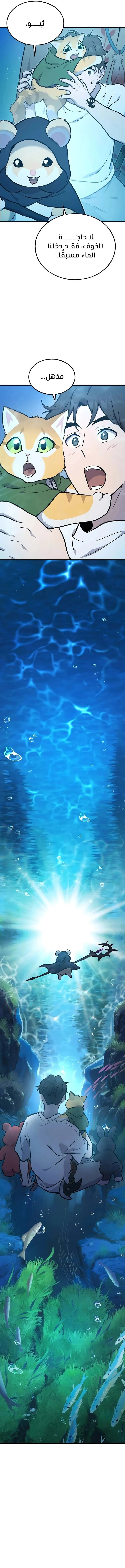 الصفحة 11