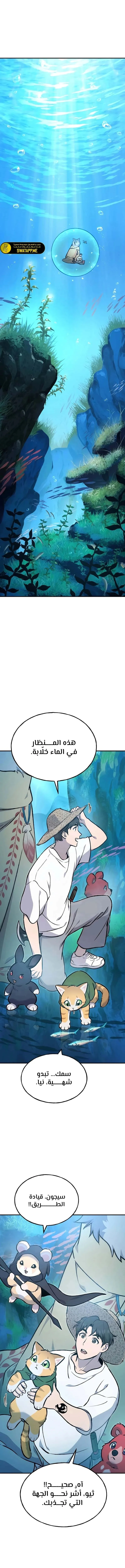 الصفحة 12