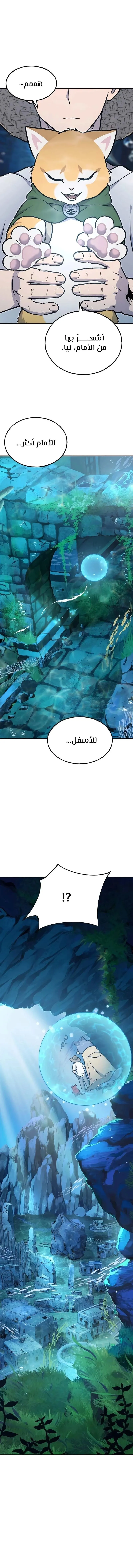 الصفحة 13