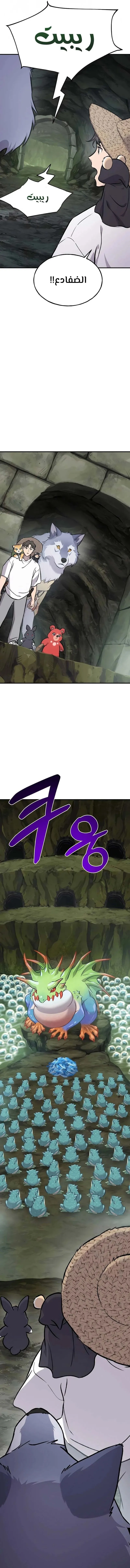 الصفحة 17