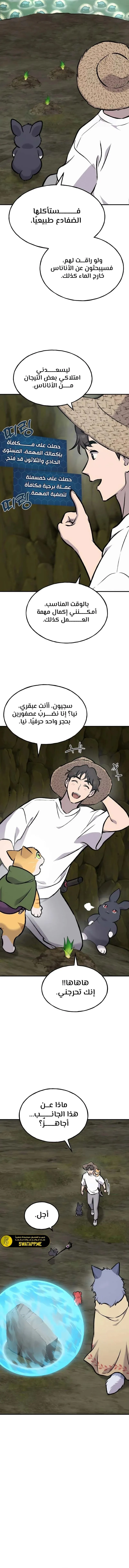 الصفحة 17
