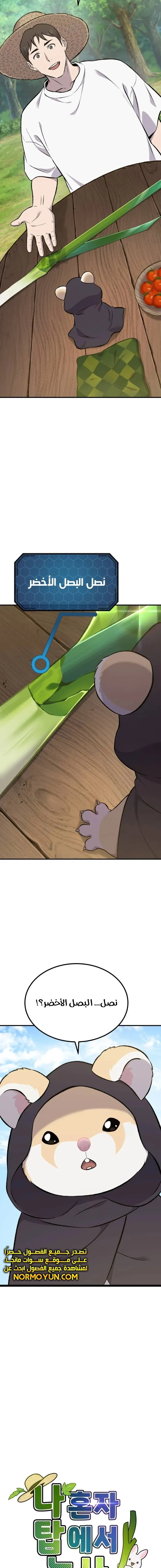 الصفحة 11