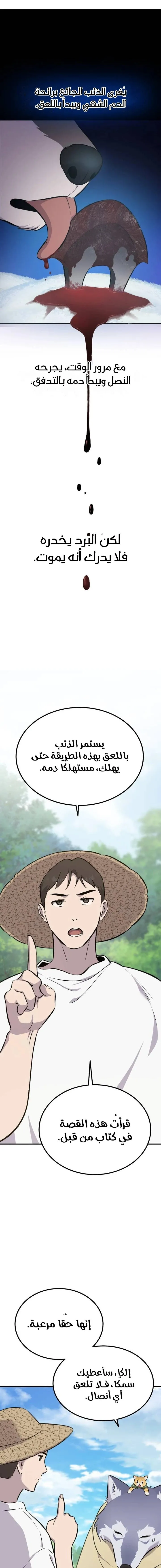 الصفحة 13