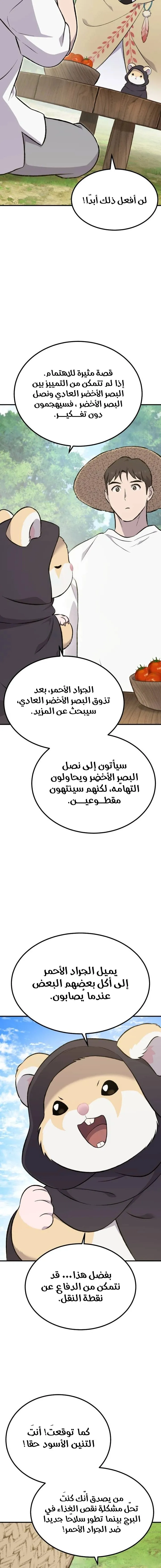 الصفحة 14