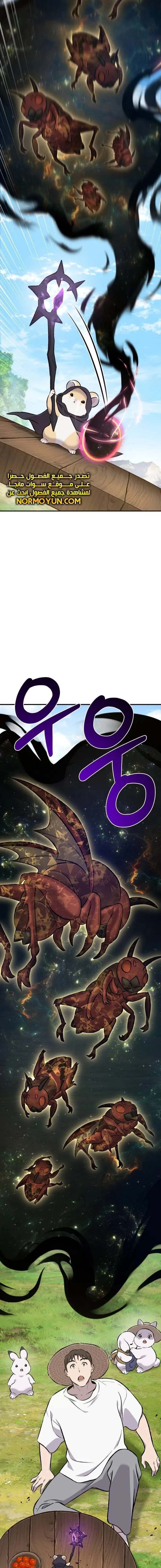 الصفحة 17