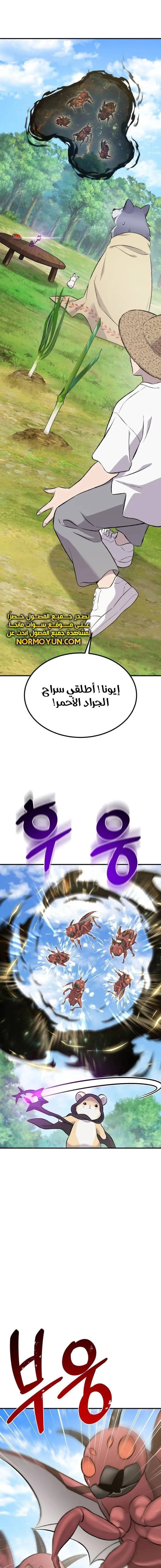 الصفحة 19