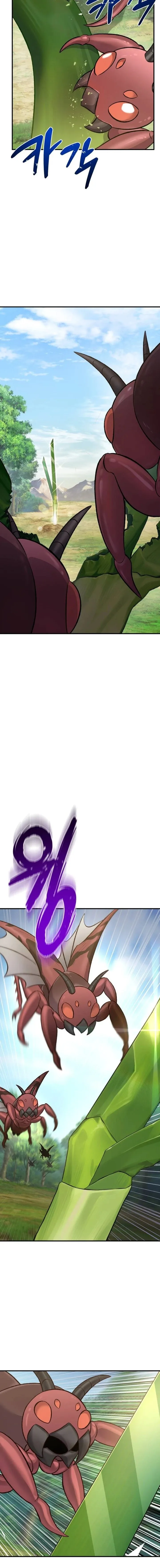 الصفحة 21