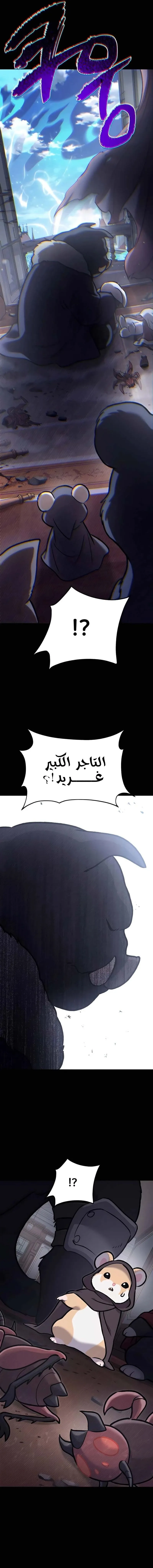 الصفحة 14