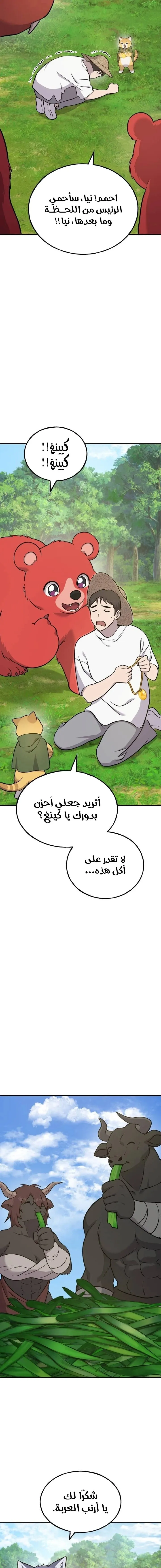 الصفحة 17