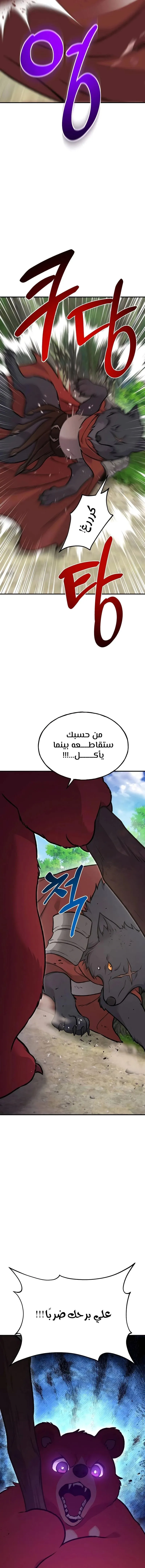 الصفحة 17