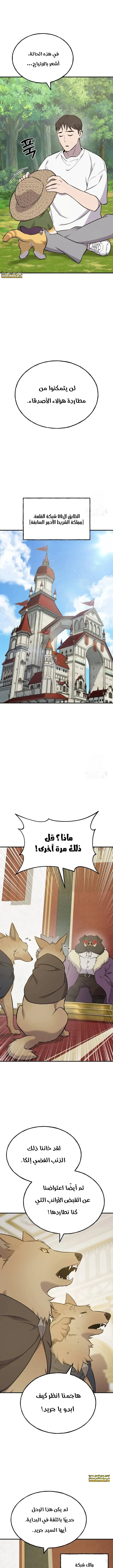 الصفحة 11