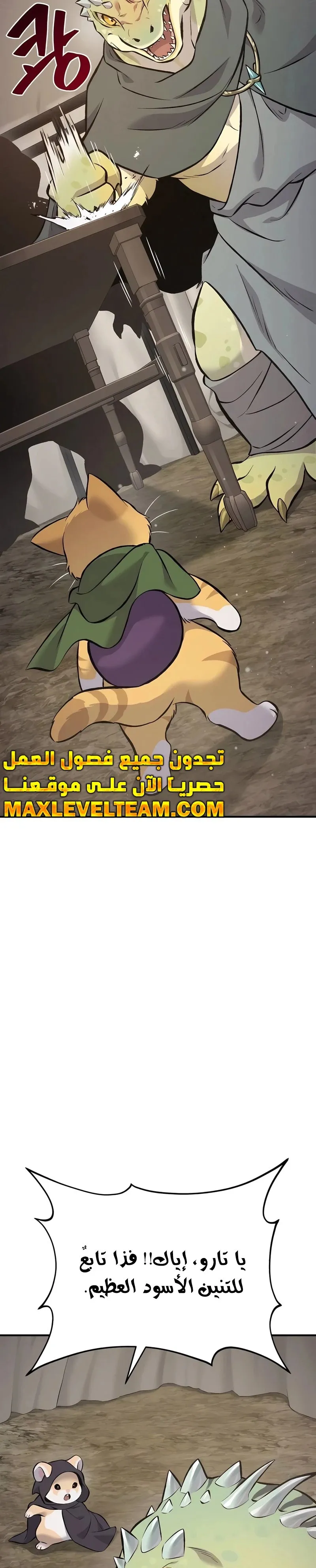 الصفحة 13