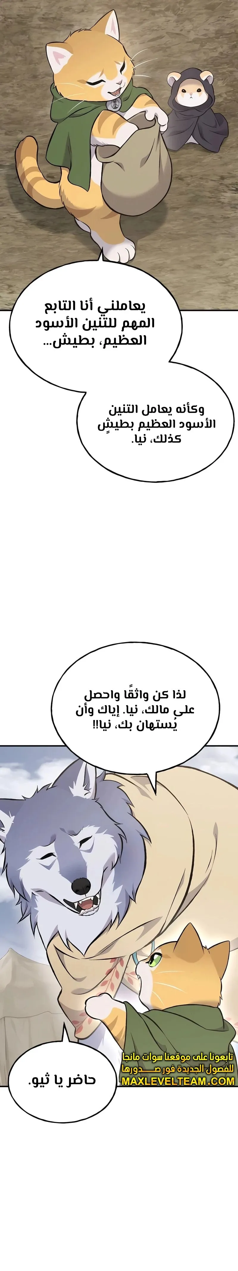 الصفحة 19