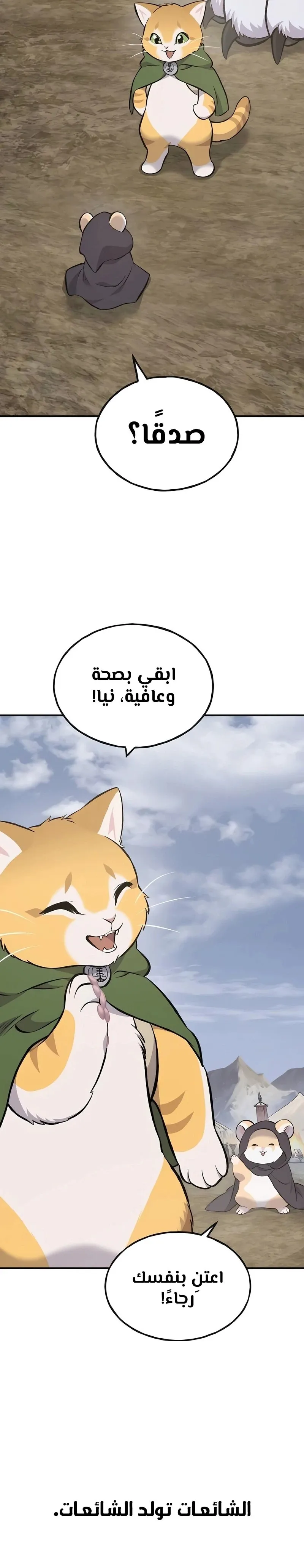 الصفحة 25
