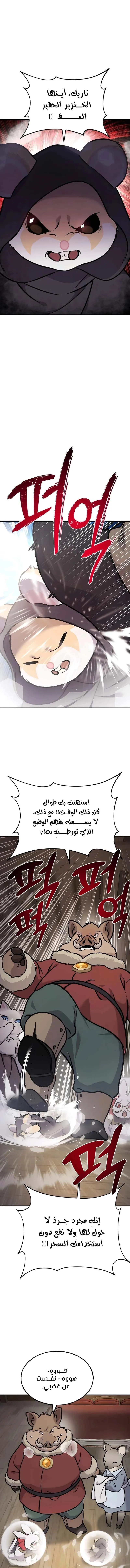 الصفحة 14