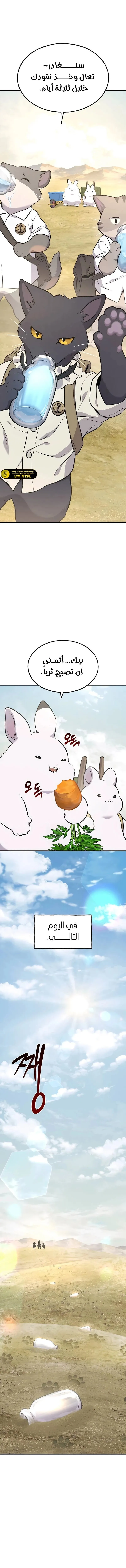 الصفحة 11