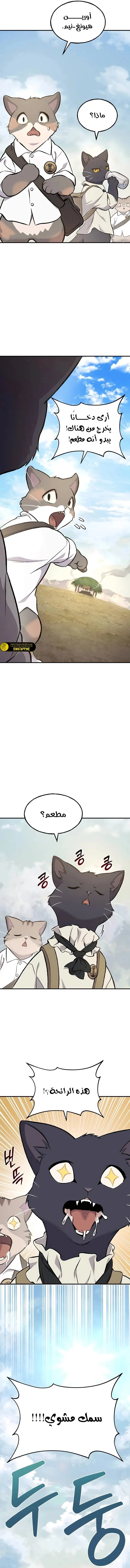 الصفحة 13