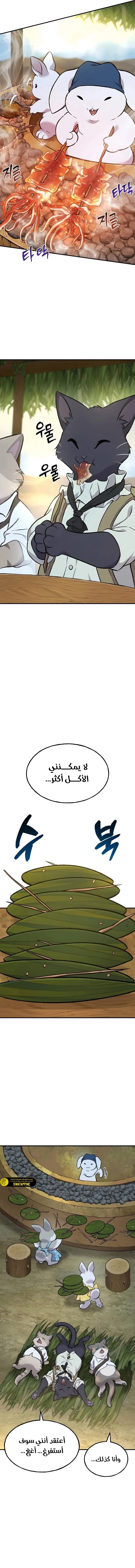 الصفحة 17
