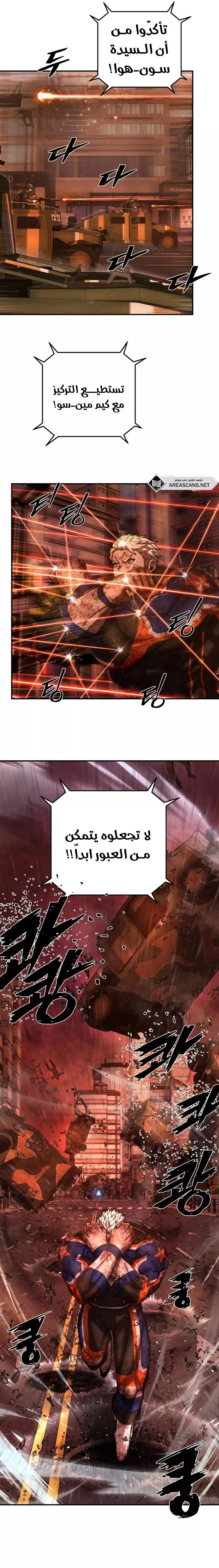 الصفحة 17