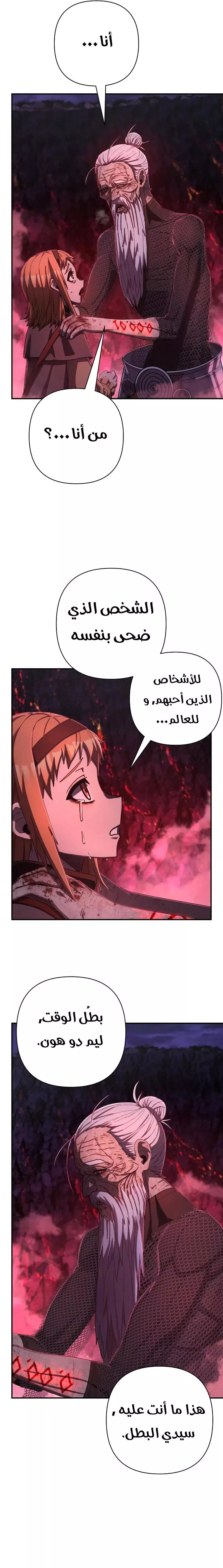 الصفحة 17