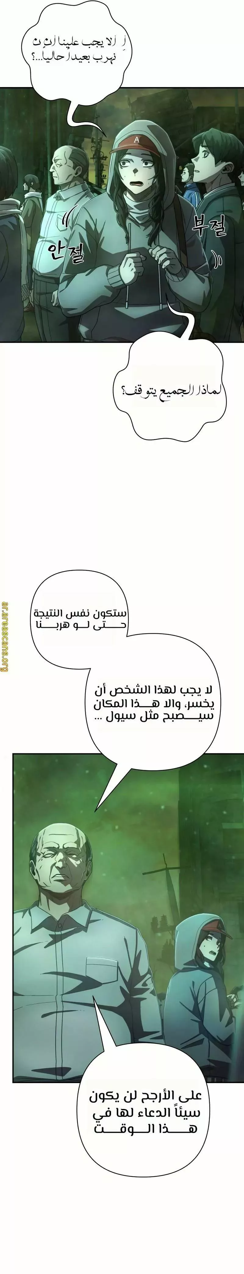 الصفحة 13