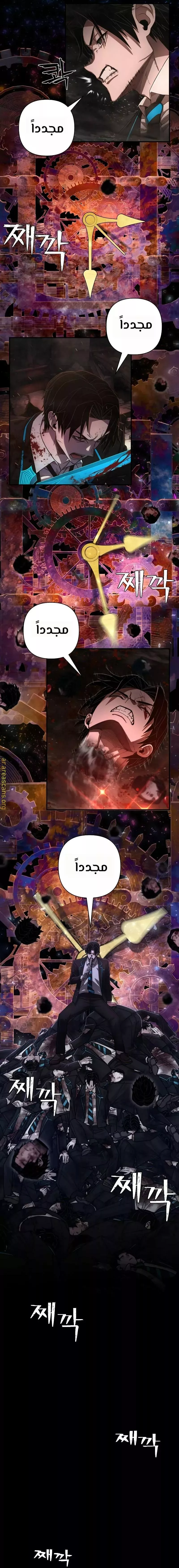 الصفحة 17