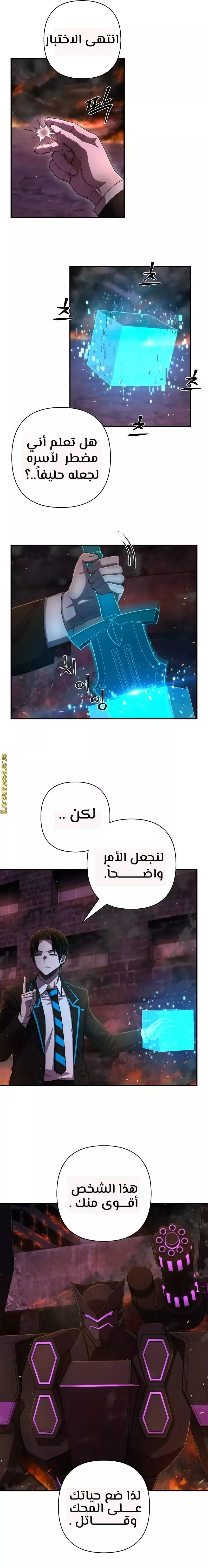 الصفحة 17