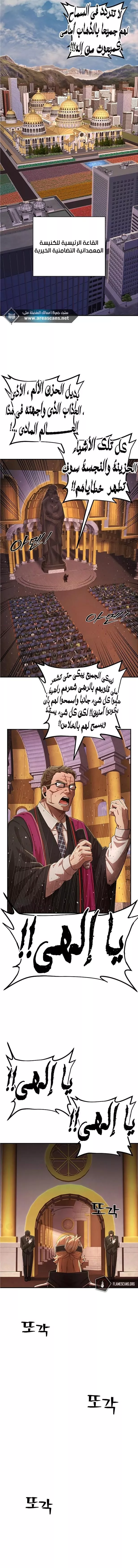 الصفحة 17