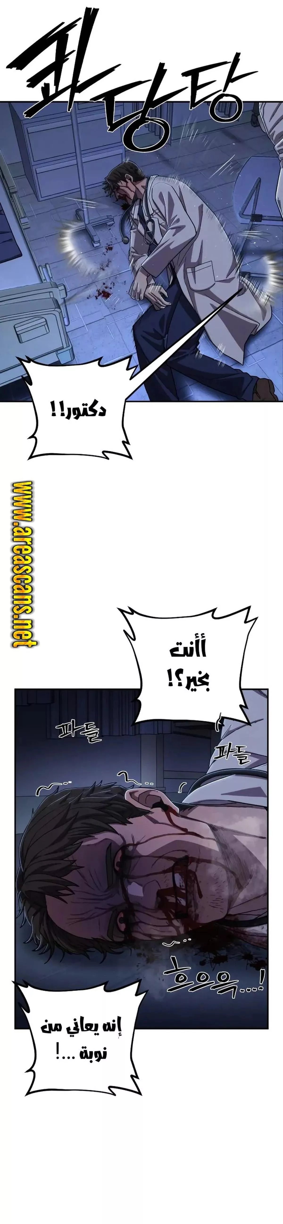 الصفحة 43