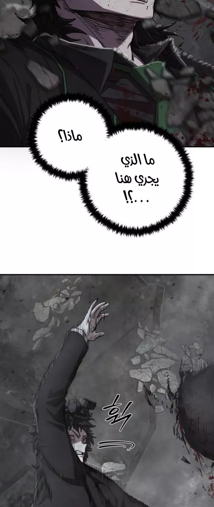 الصفحة 19