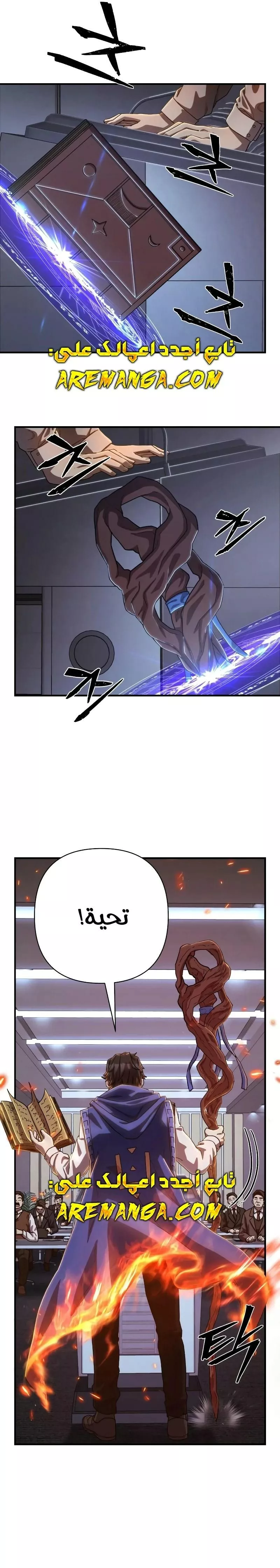 الصفحة 17
